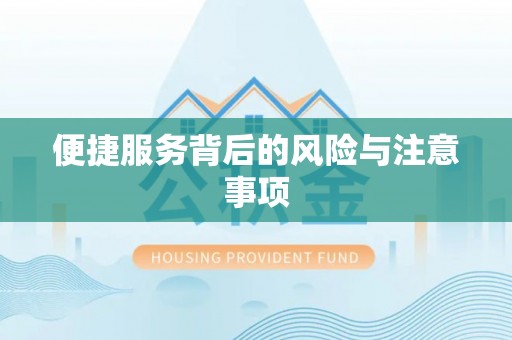 丘北便捷服务背后的风险与注意事项