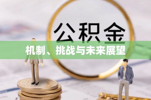 丘北机制、挑战与未来展望